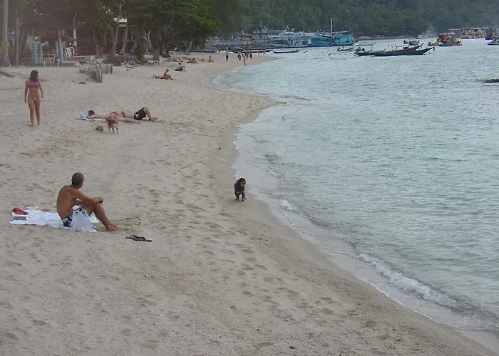 Queen Resort Koh Tao