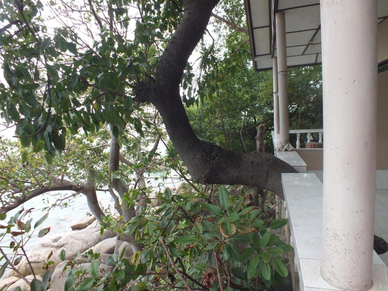 Wisma tamu Queen Ko Tao